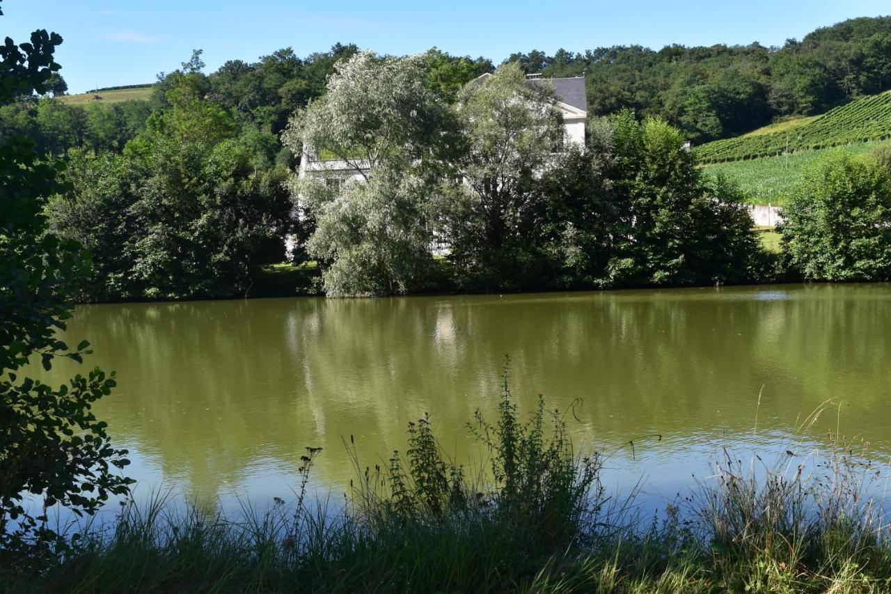 Monein Chateau Roquehort Avec Ev Recharge Point 22Kw מראה חיצוני תמונה